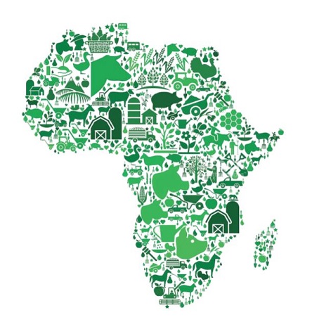 Africa map in agricultural map