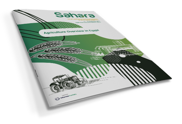 Agriculture overview in Egypt report