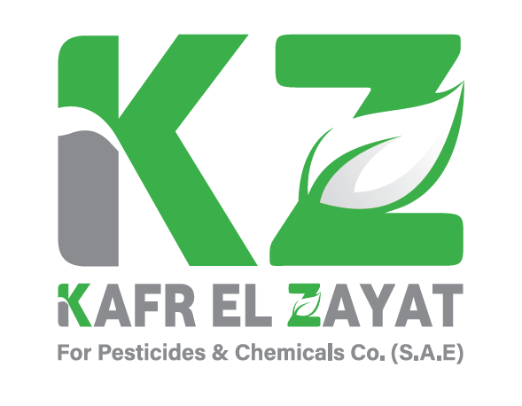 kafr el zayat