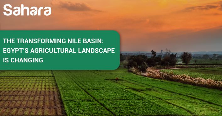 The transfomring Egyptian agriculture scene